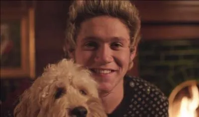 What's Niall star sign?