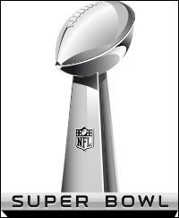The annual championship game of the National Football League is called...