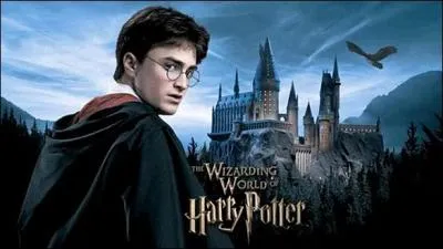 Are the movies "Harry Potter" :