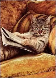 Let's start the lesson. To put "e", you must have the auxiliary "etre" or "avoir" in your sentence. in your sentence.