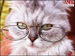 You must put an infinitive if the sentence makes sense when replacing the verb with a third/second group verb. It's impossible to ... without making mistakes, isn't it ?