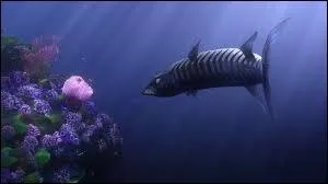 Which animal ate the whole brood?