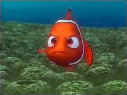 Nemo is handicapped. Which of his fins is atrophied?