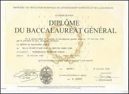 Is this a driver's license?