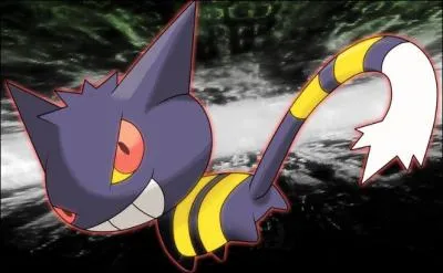 This fusion contains several Pokemon. Which Pokemon?