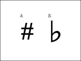 Which is the sharp notation?