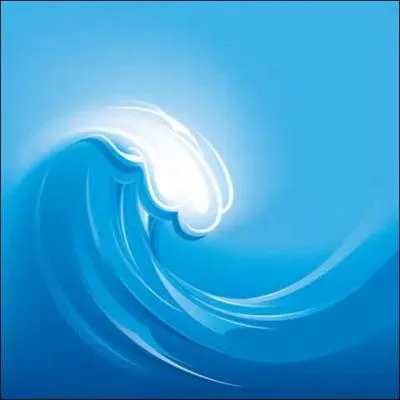 Can your cat drink sea water?