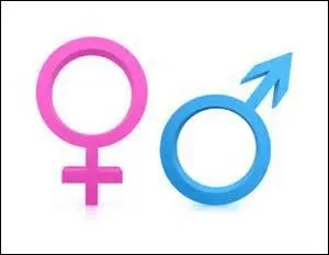 How can you tell if a cat is male or female?