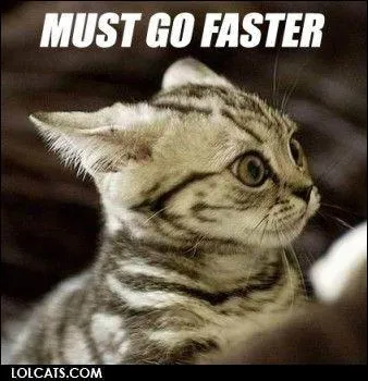 What is a cat's top speed?