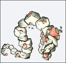 What are the fusions of this rocky feline?