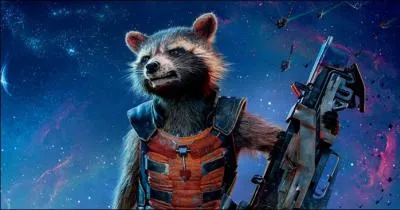 In Guardians of the Galaxy , what's the raccoon's name?