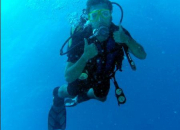 Quiz What do you know about scuba diving