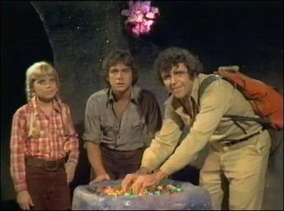 What show is this family from?