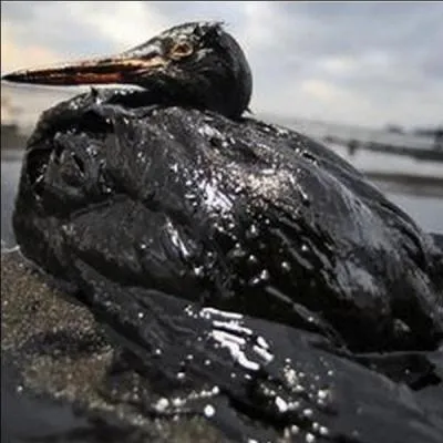 On March 24, 1989, the oil tanker Exxon Valdez sank off the coast of Canada.