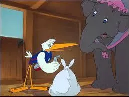 Which animals bring the young of circus animals?