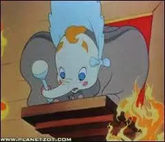 The circus management wants Dumbo to become:
