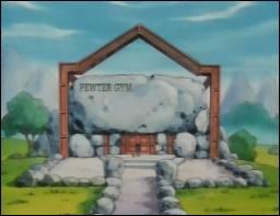 What is the name of Brock's gym?