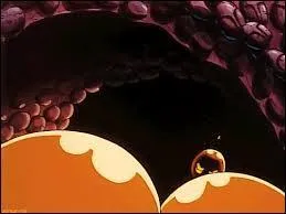 In the episode "Shell Shock", the whole island was made up of what pokemons?