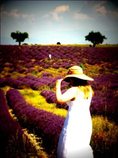 Who is the current French president?