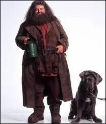 What is the name of Hagrid's dog in "Harry Potter"?