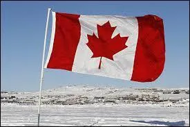 Which country does this flag belong to?