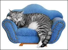 Complete this expression : Il ne faut pas réveiller le chat ...