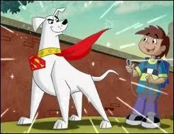 This superdog is called ...