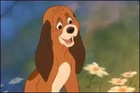 A character from Rox and Roucky, his name is ...