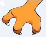 Which Pokemon does this hand belong to?