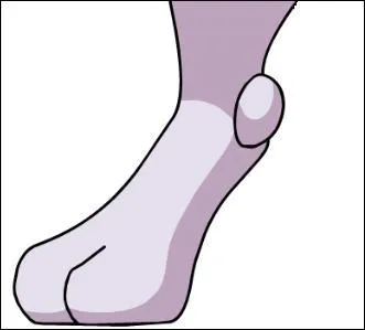 Which Pokemon does this paw belong to?