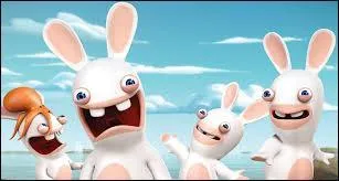 What do you call the rabbits in the photo?