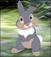 Which Disney film features Pan-Pan the rabbit?
