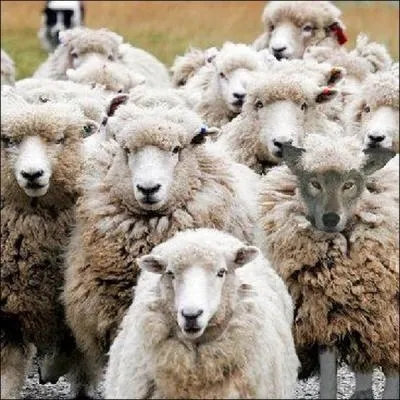 Which expression best matches the picture?