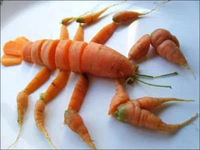 Which crustacean has no claws?