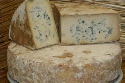 What kind of milk is used to make Corsican blue cheese?