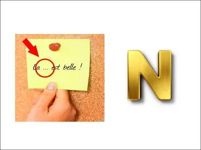 Which city is crossed by the Danube?