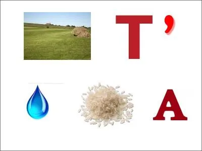 This city is located in the Gauteng province. It is: