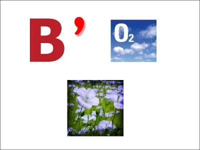 It's the capital of Germany. What is this city?