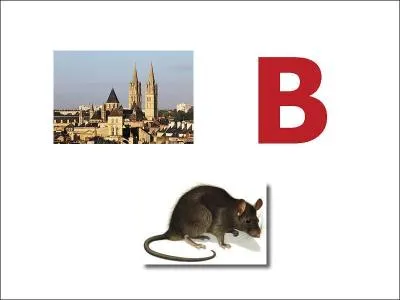 What is the capital of Australia?