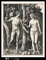 This image is _______.