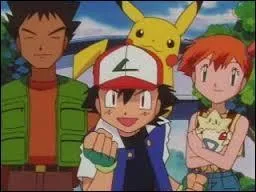 Who were Ash's travelling companions in Indigo / Kanto region?
