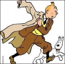 Introducing Tintin and ...  !