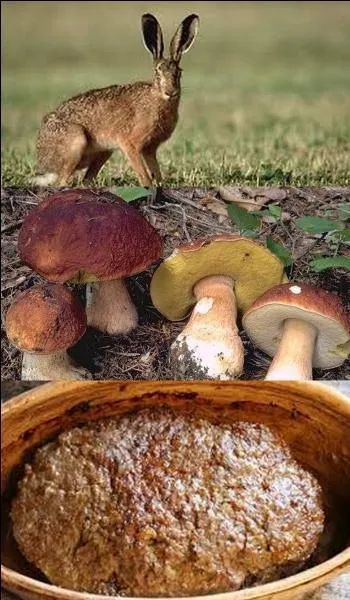 According to the picture, which is the right terrine?