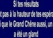 Quiz Anciennes émissions, séries et publicités