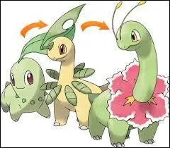 What is the last evolution of Chikorita?