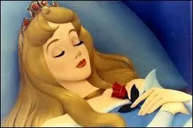 This one hates sewing with a spinning wheel, nothing beats the needle!