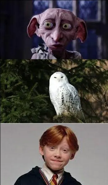 What's on your mind?