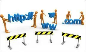 What is the determinant of the site's authority?