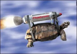 Certain tortoises can steal (fly) !