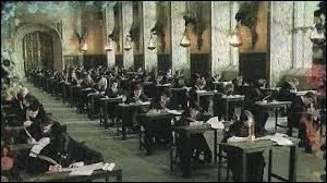 I passed my practical BUSE with Hermione, my last name is Greengrass!